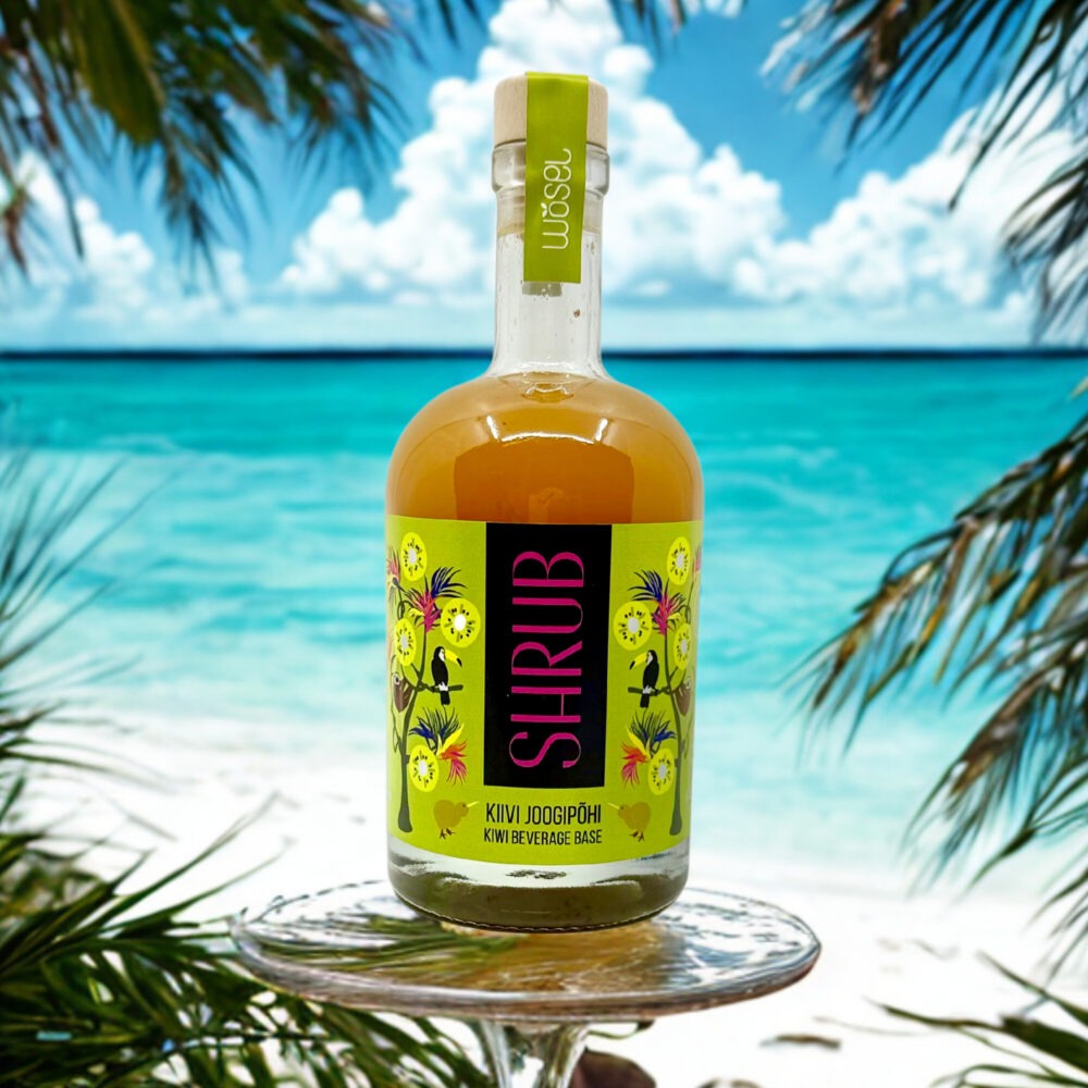 Kiivi Shrub joogipõhi 500ml - Image 3