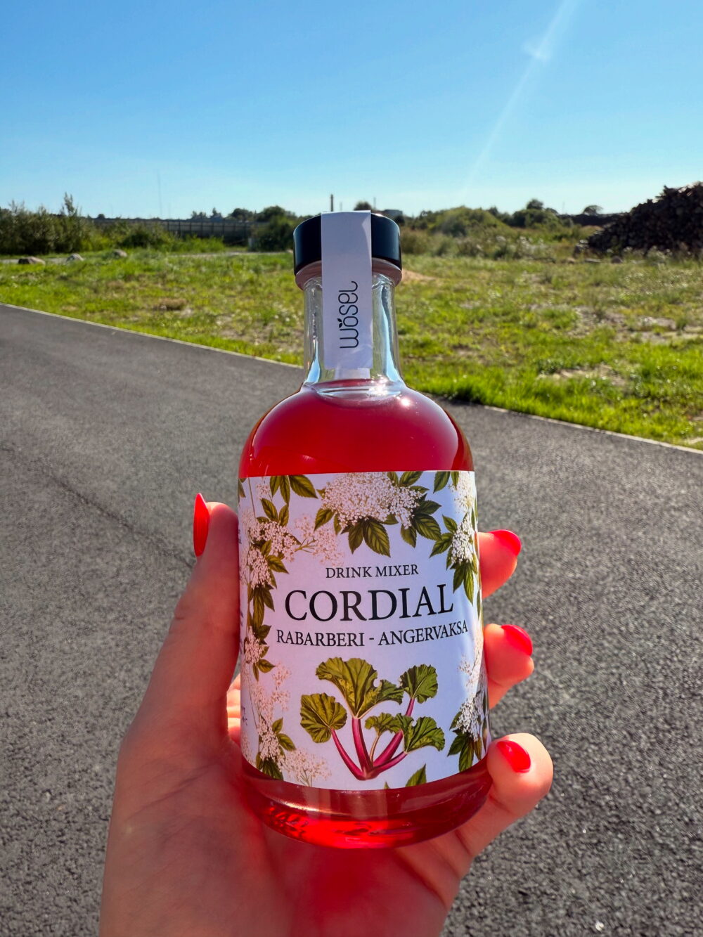 Rabarberi-angervaksa Cordial, 200 ml - Image 5
